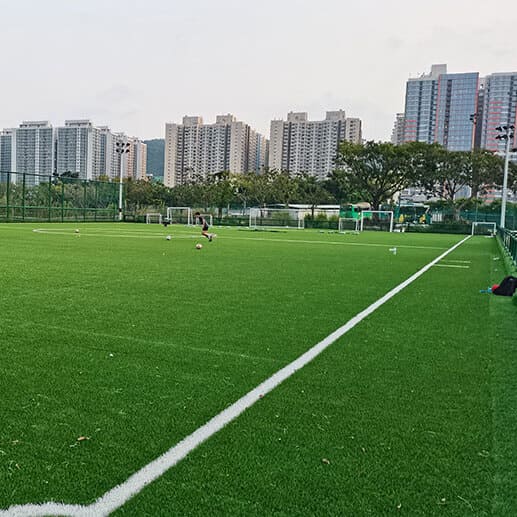 Grama Fútbol Turf Plus