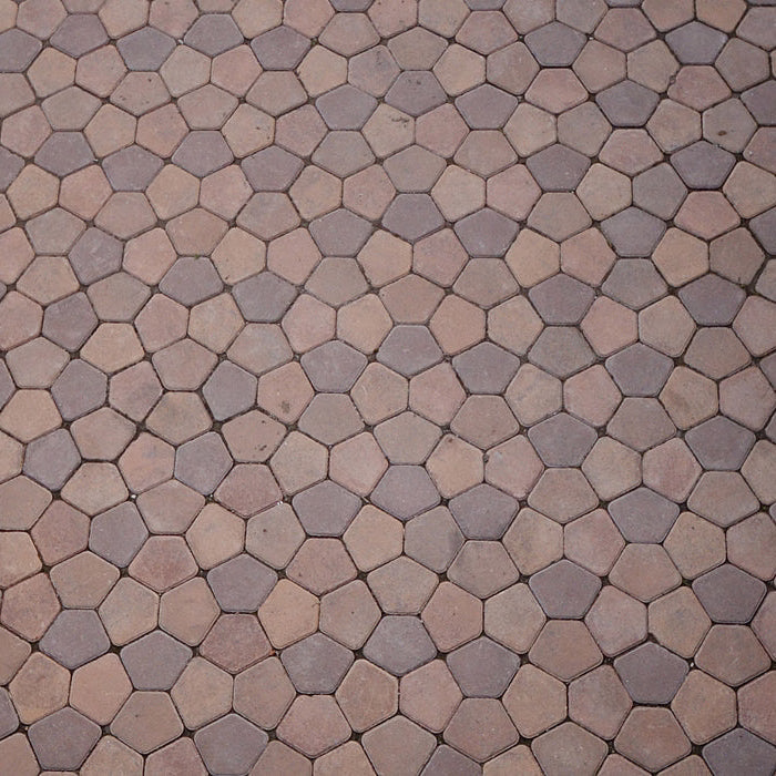 Pentanova en Concreto